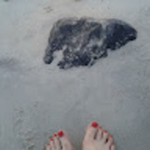 Meet your Posher, Adina